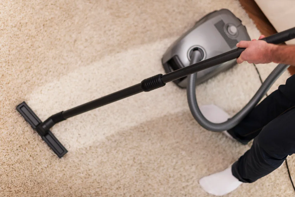 Professional carpet cleaning